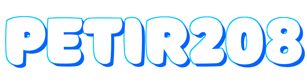 Logo PETIR208